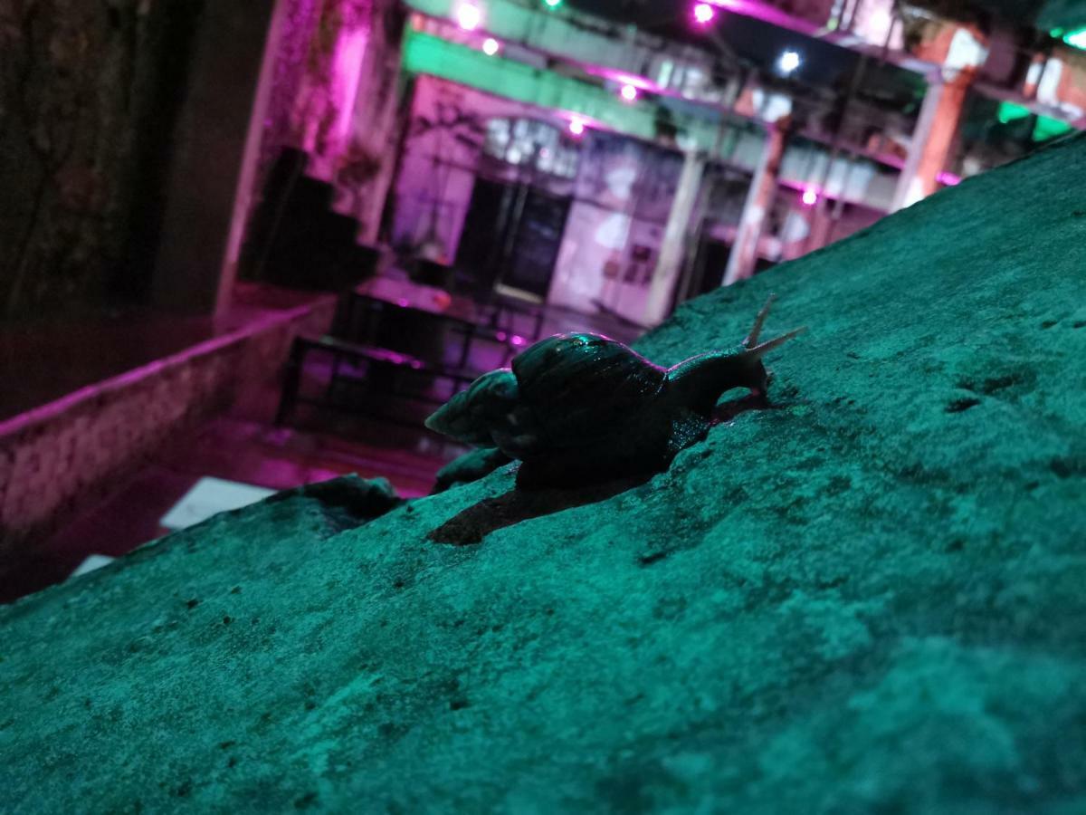 ホテル Bat & Arrow パダン エクステリア 写真